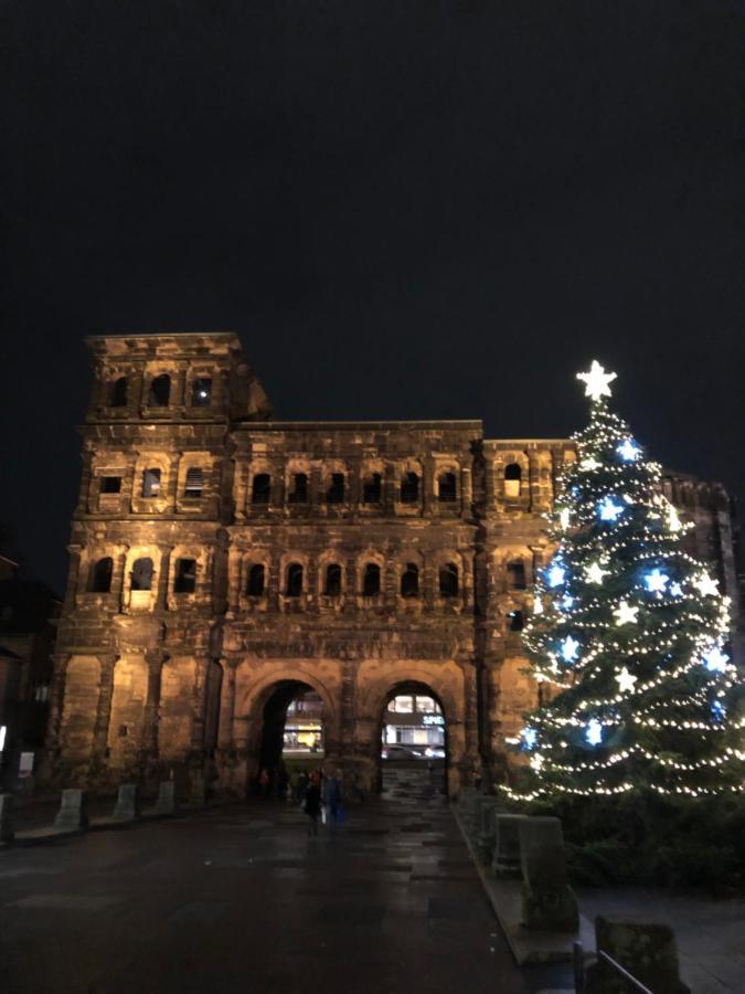 Wohnen Am Trierer Moselufer Apartment Екстериор снимка